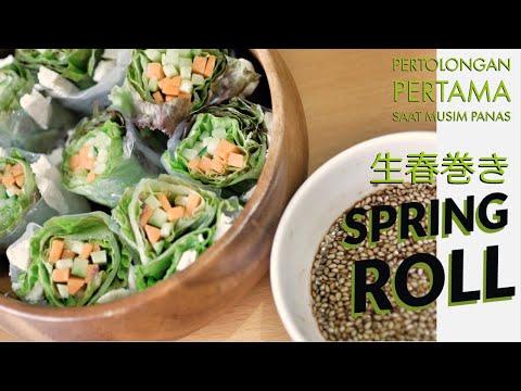 Vietnamese springroll