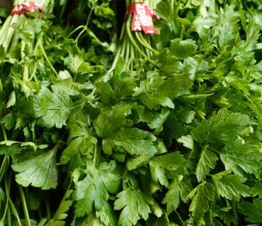 Parsely
