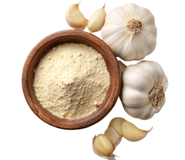 Garlic