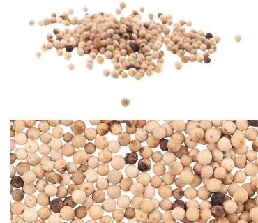 White pepper