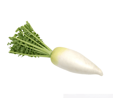 Radish