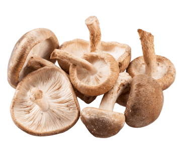 Shiitake Mushrooms