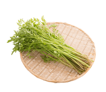 Japanese parsley (Mitsuba)