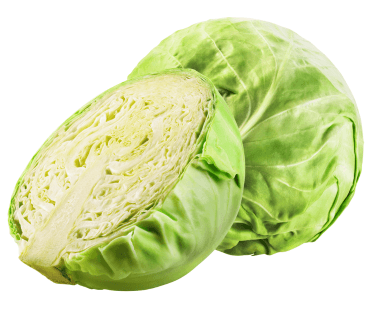 Cabbage
