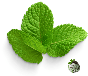 Mint