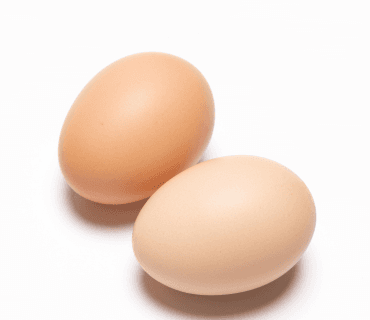 Egg