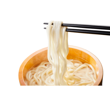 Udon Noodle