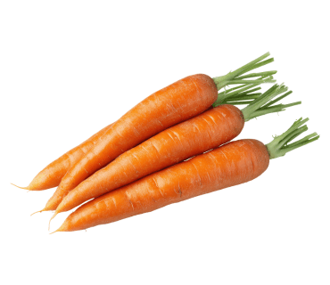Carrot