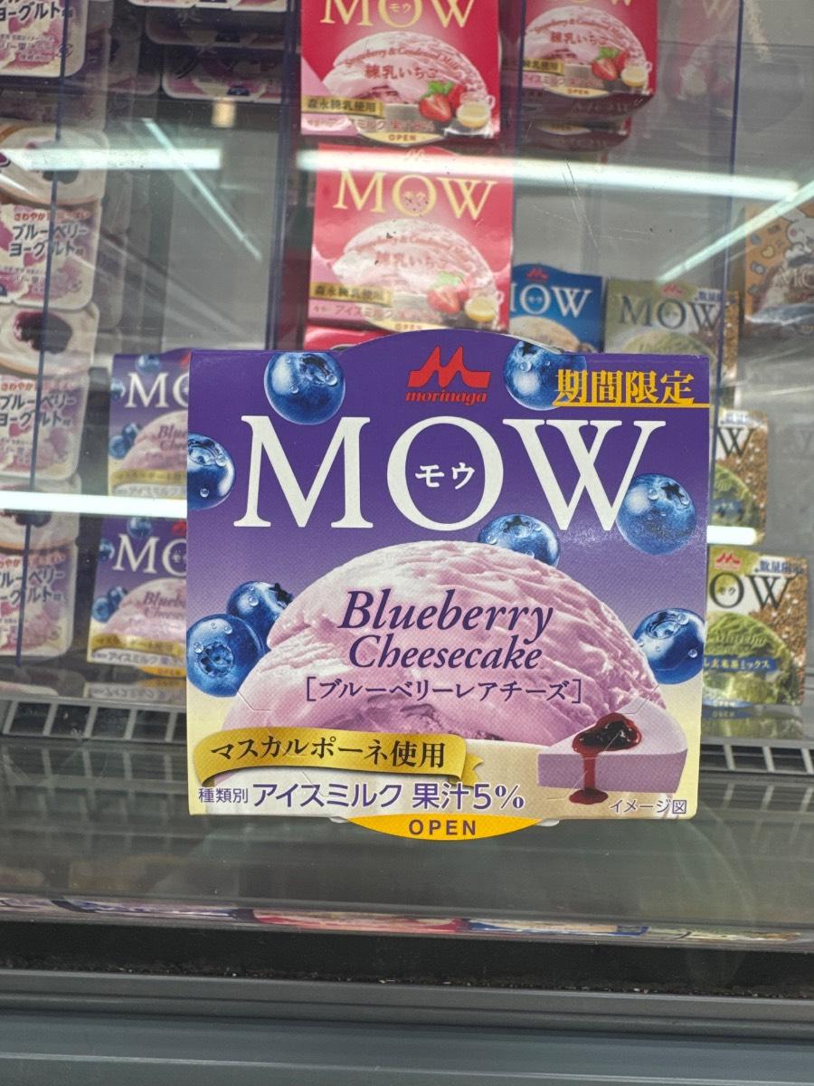 MOW - Blueberry Cheesecake